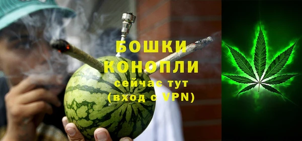 дурь Осташков