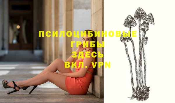 apvp Остров