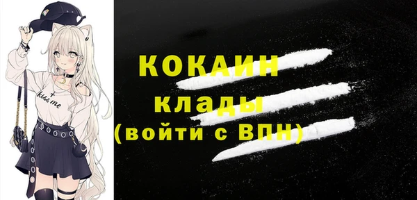 дурь Осташков
