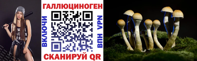купить  цена  Каневская  Галлюциногенные грибы Psilocybine cubensis 